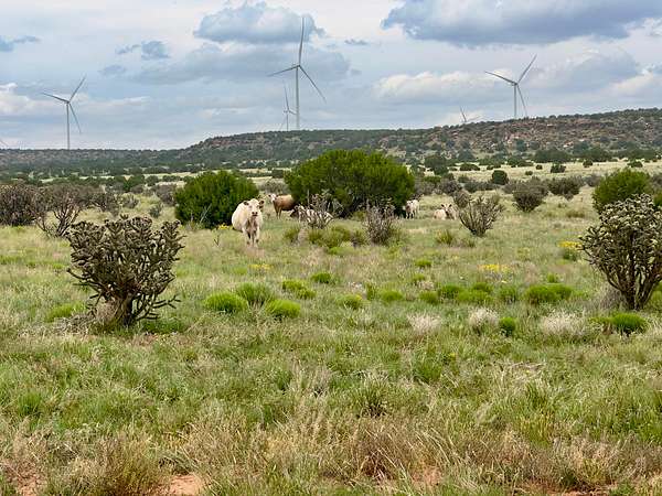 8,976 Acres of Recreational Land & Farm for Sale in Pastura, New Mexico