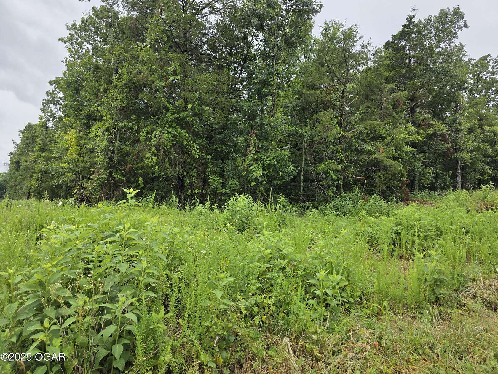 0.17 Acres of Residential Land for Sale in Shell Knob, Missouri
