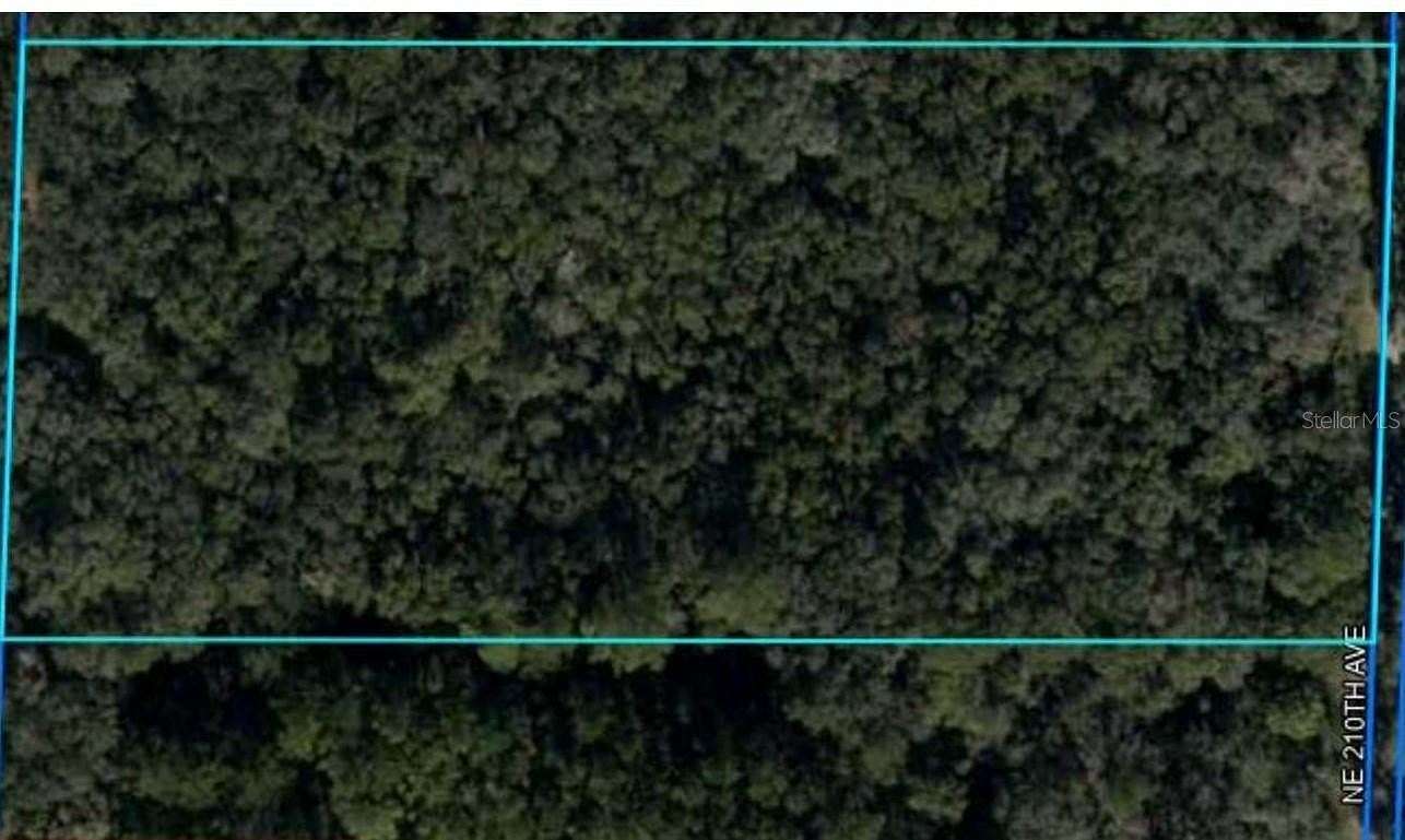 3.5 Acres of Residential Land for Sale in Williston, Florida