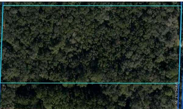 3.5 Acres of Residential Land for Sale in Williston, Florida