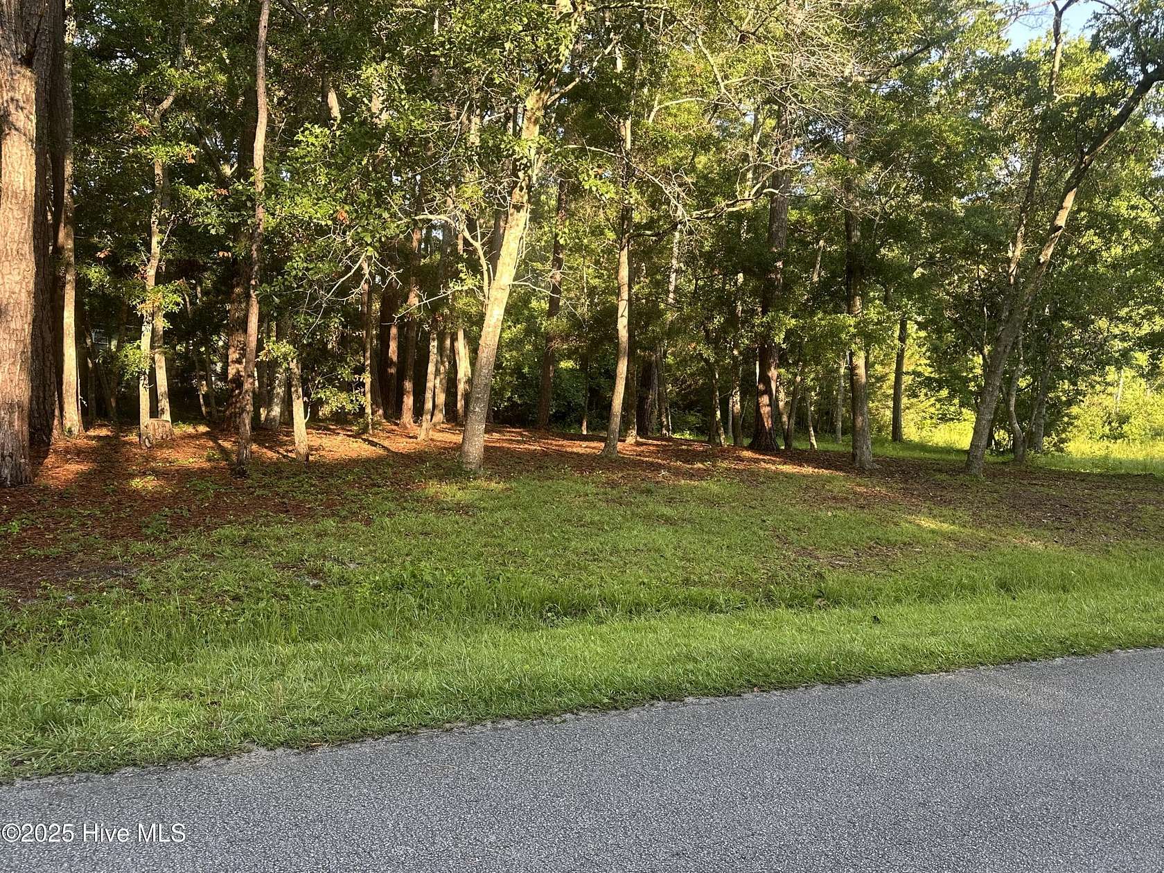 0.18 Acres of Residential Land for Sale in Ocean Isle Beach, North Carolina