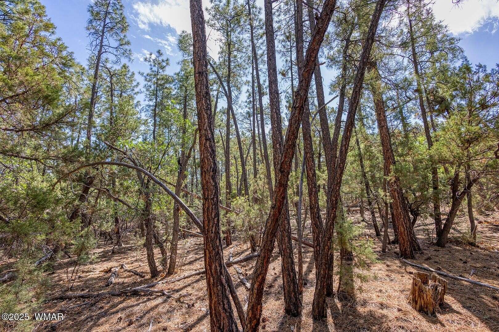 0.46 Acres of Residential Land for Sale in Pinetop, Arizona