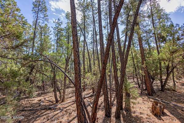 0.46 Acres of Residential Land for Sale in Pinetop, Arizona