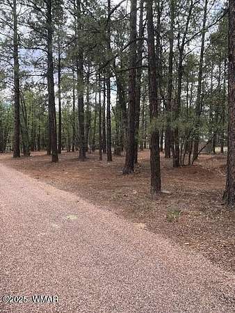 1.5 Acres of Residential Land for Sale in Pinetop, Arizona