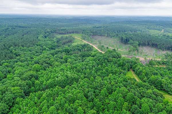 100 Acres of Land for Sale in Hohenwald, Tennessee
