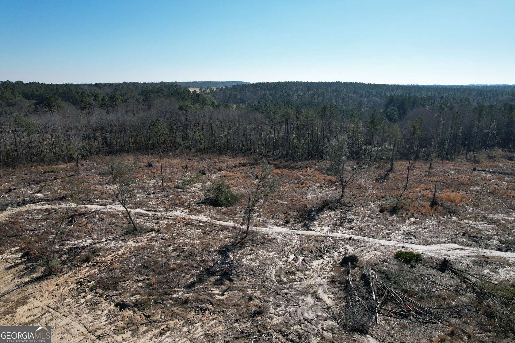 15.4 Acres of Land for Sale in Collins, Georgia