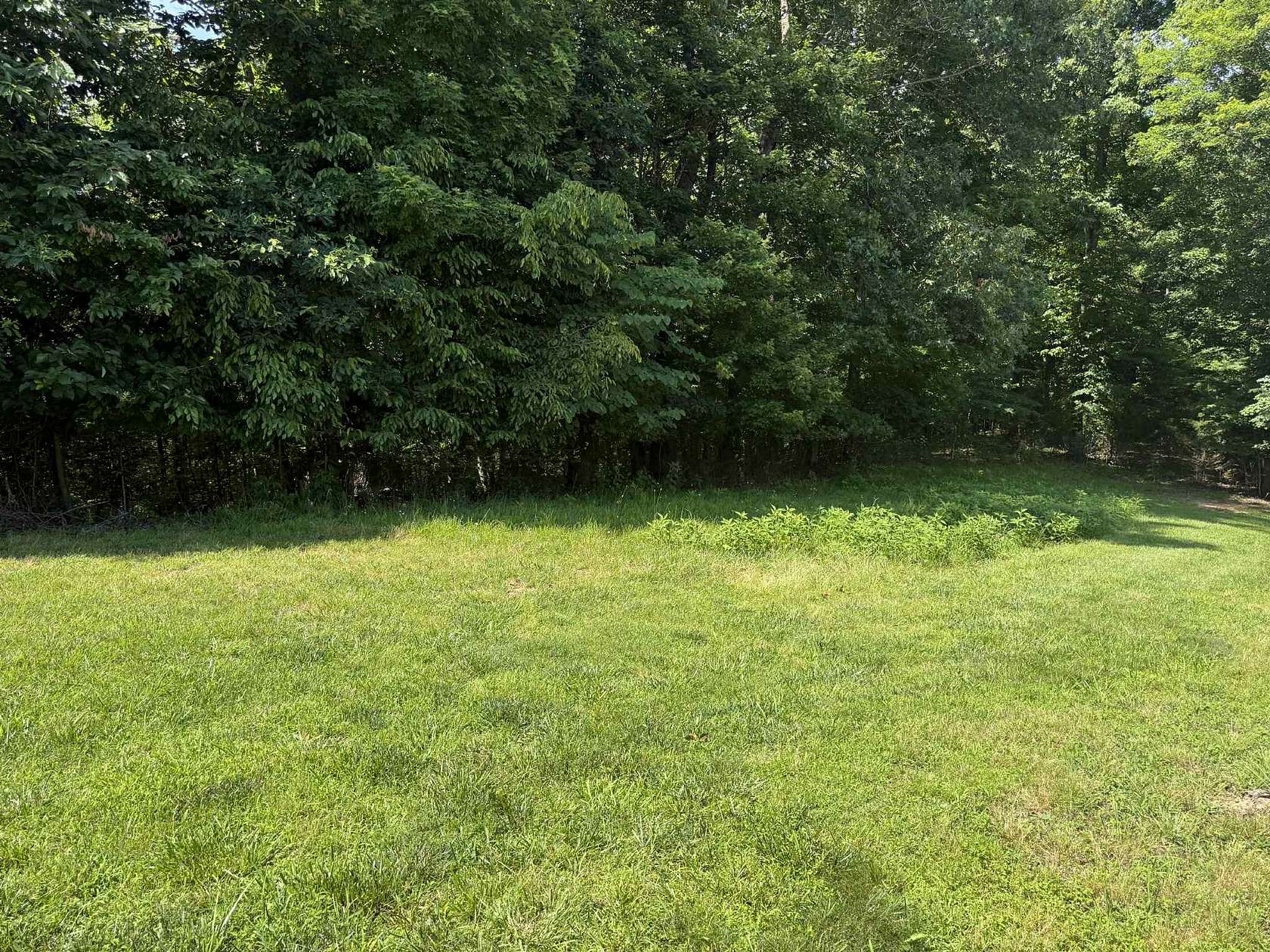 4.27 Acres of Land for Sale in Albany, Kentucky