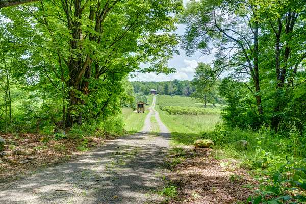 30 Acres of Land with Home for Sale in Dolgeville, New York