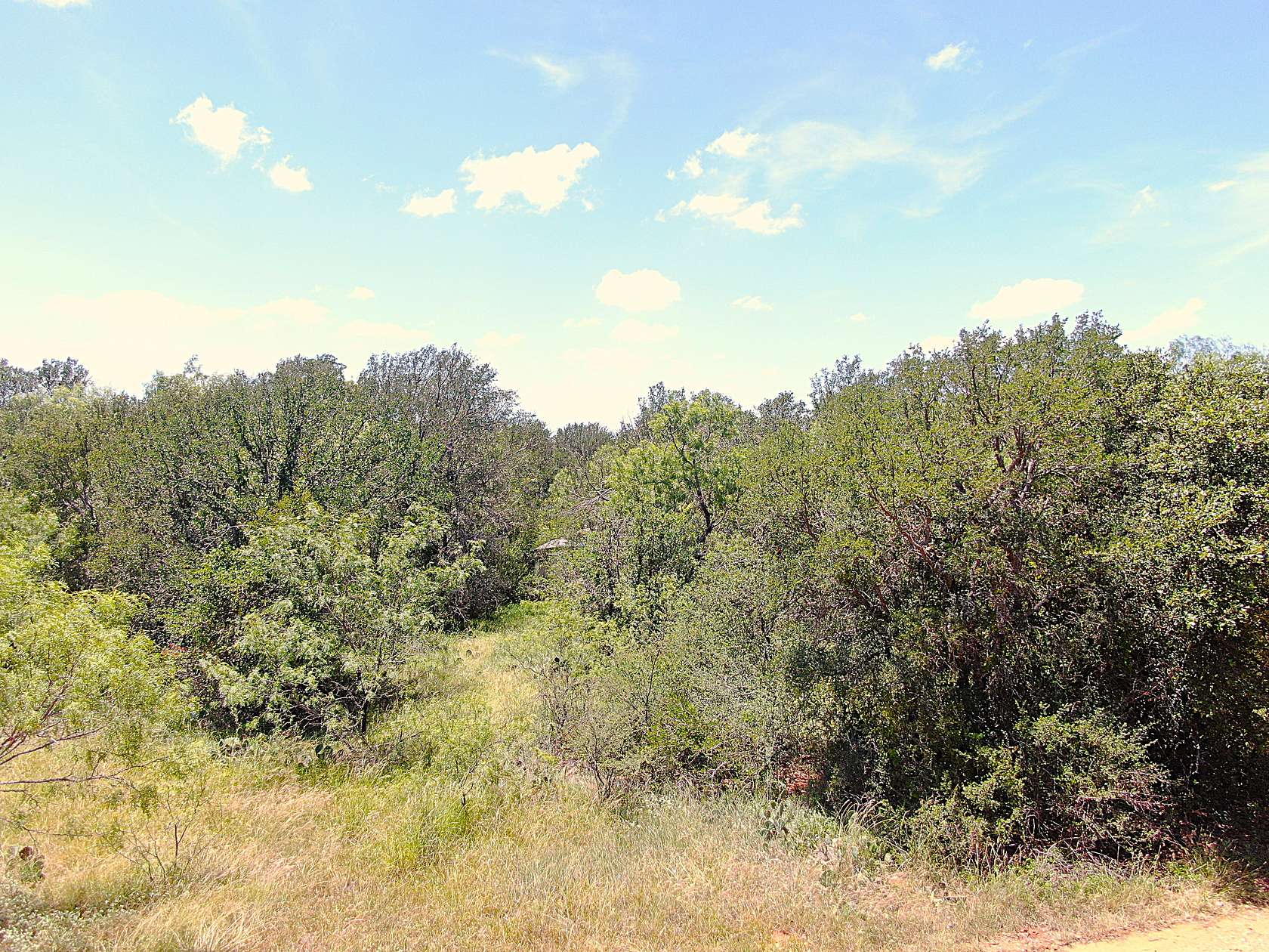 5.3 Acres of Land for Sale in Early, Texas