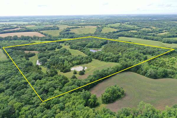 40 Acres of Recreational Land & Farm for Sale in Cainsville, Missouri