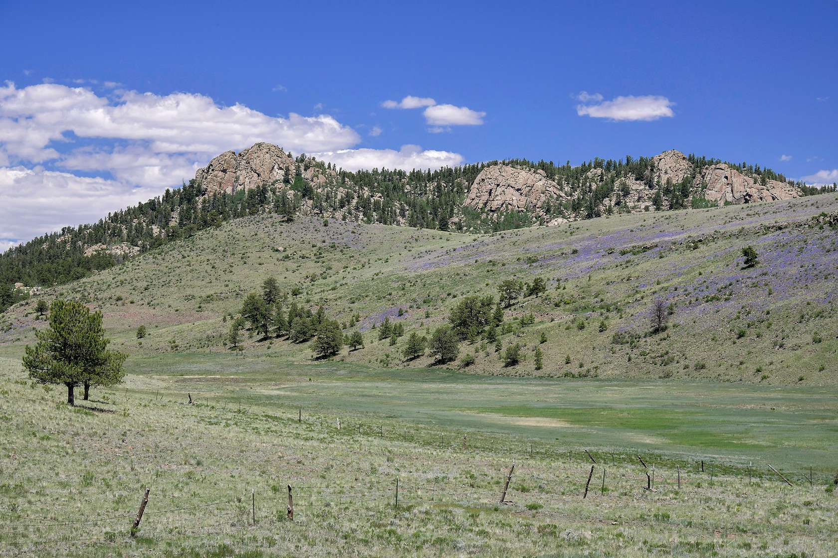 9.67 Acres of Land for Sale in Guffey, Colorado