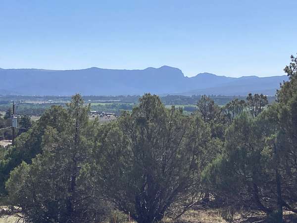 2 Acres of Land for Sale in Rutheron, New Mexico