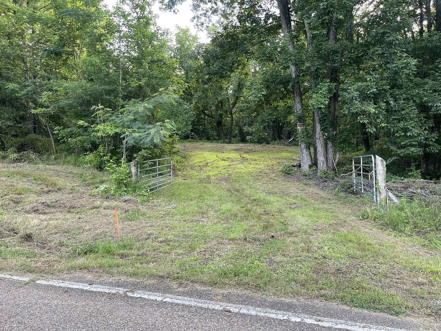 100 Acres of Land for Sale in Sardis, Tennessee