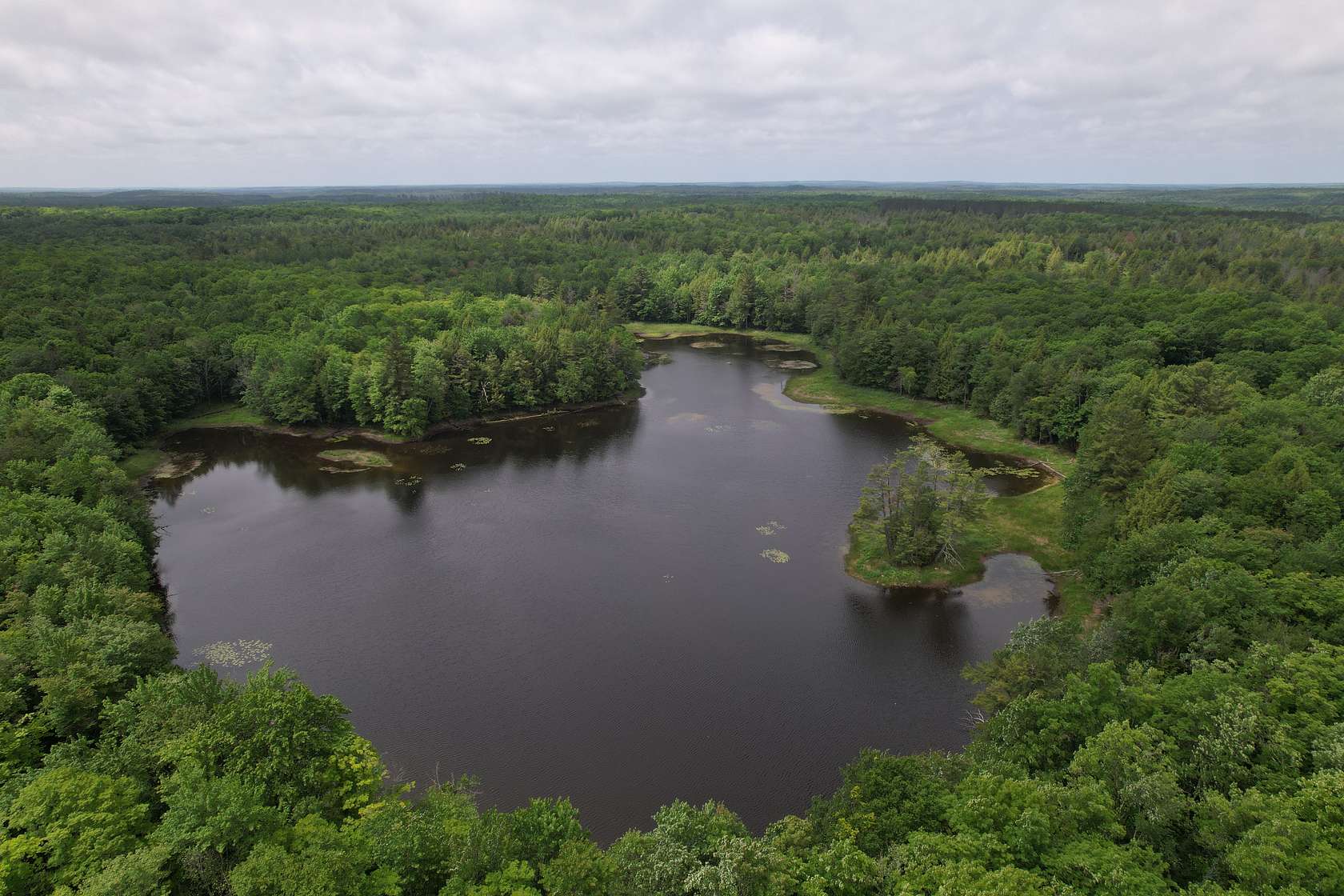 77 Acres of Recreational Land & Farm for Sale in Glidden, Wisconsin