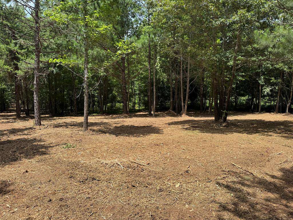 3.86 Acres of Land for Sale in Clarksville, Virginia