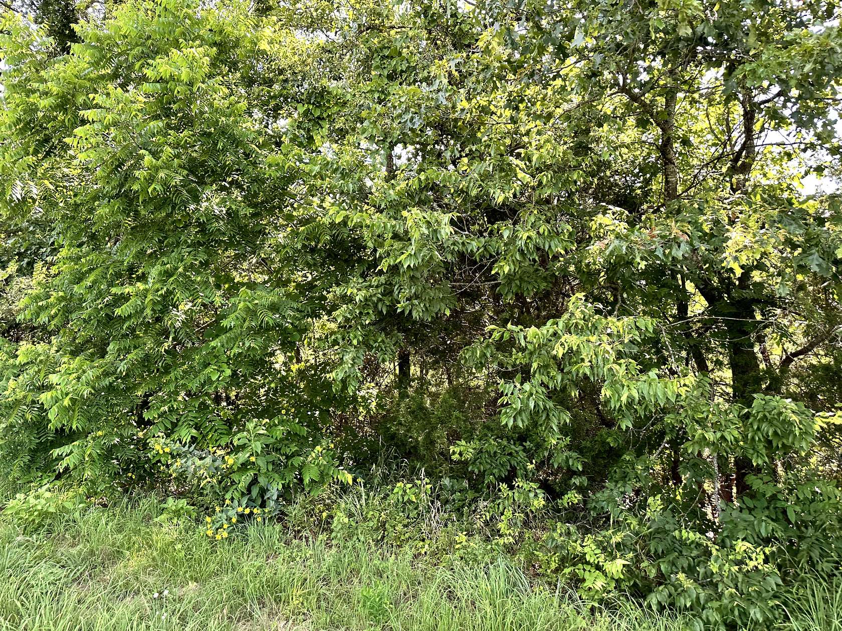 3 Acres of Land for Sale in Ash Flat, Arkansas