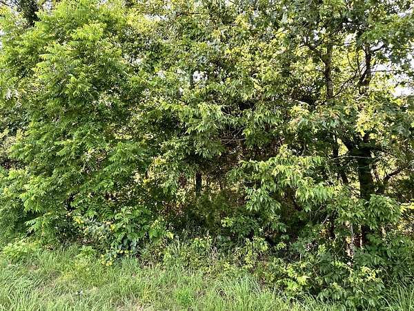 3 Acres of Land for Sale in Ash Flat, Arkansas