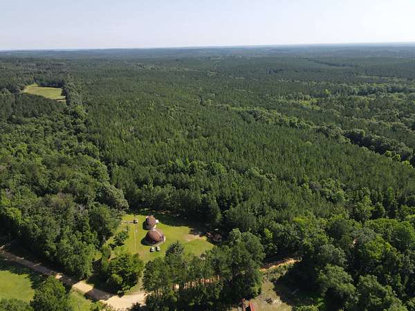 110 Acres of Land with Home for Sale in Dozier, Alabama