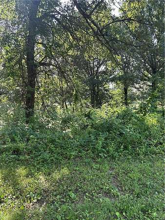 4.2 Acres of Land for Sale in Harrison, Arkansas