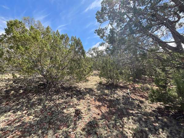 1 Acre of Land for Sale in Seligman, Arizona