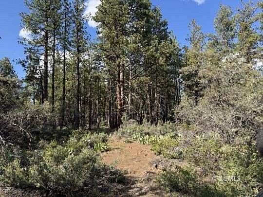 2.24 Acres of Residential Land for Sale in Bonanza, Oregon