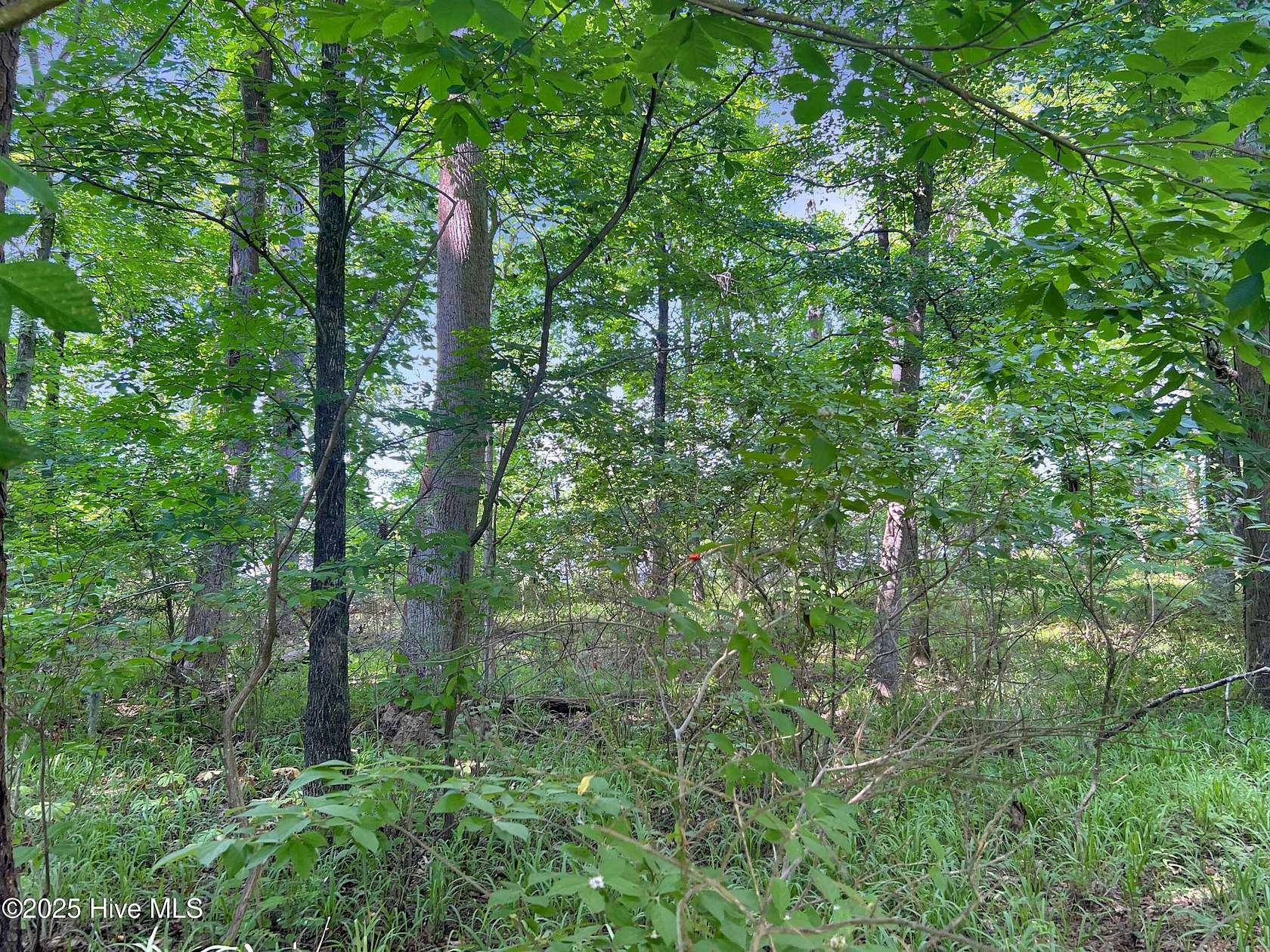 0.64 Acres of Residential Land for Sale in Edenton, North Carolina