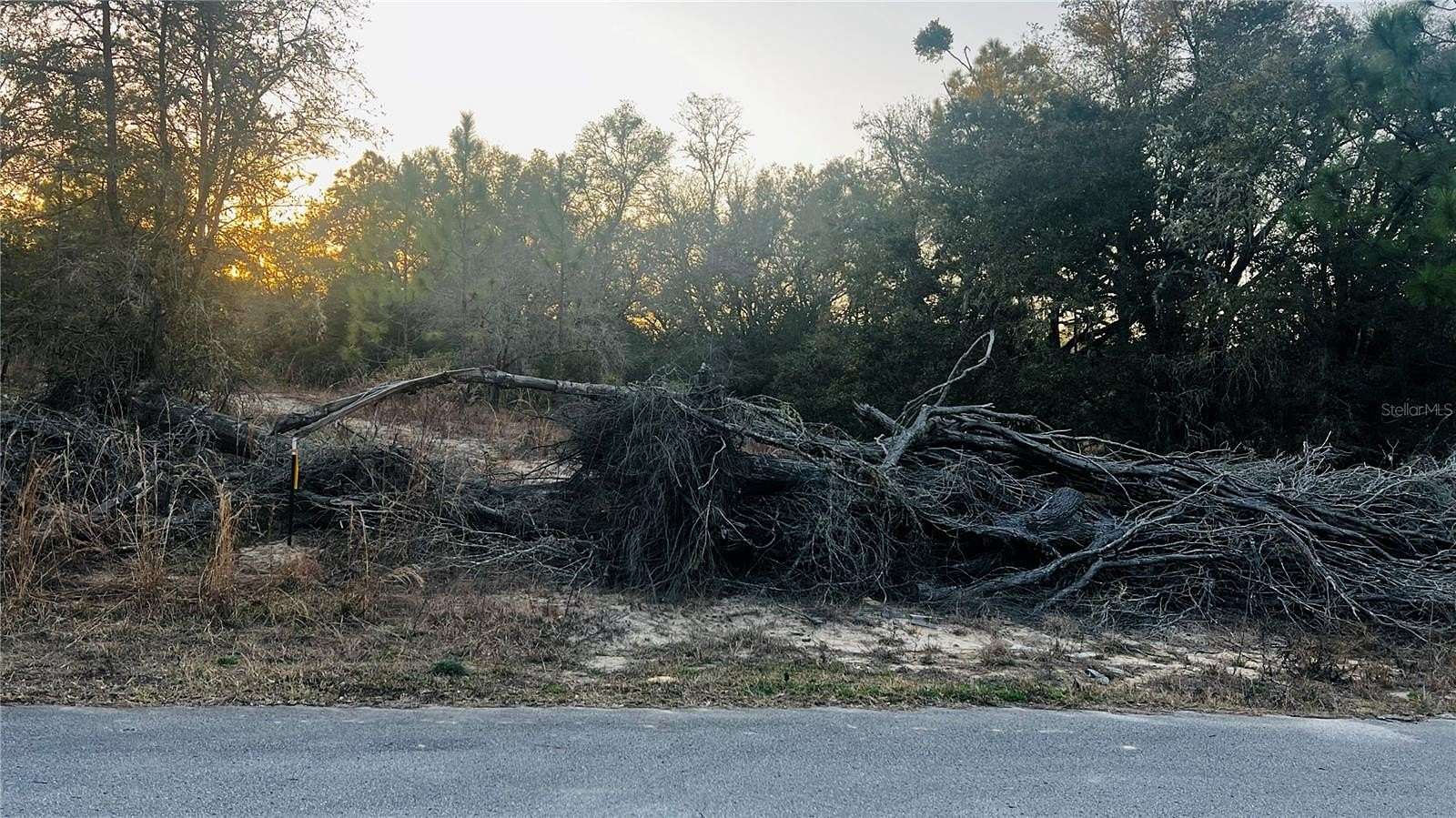 0.95 Acres of Residential Land for Sale in Dunnellon, Florida