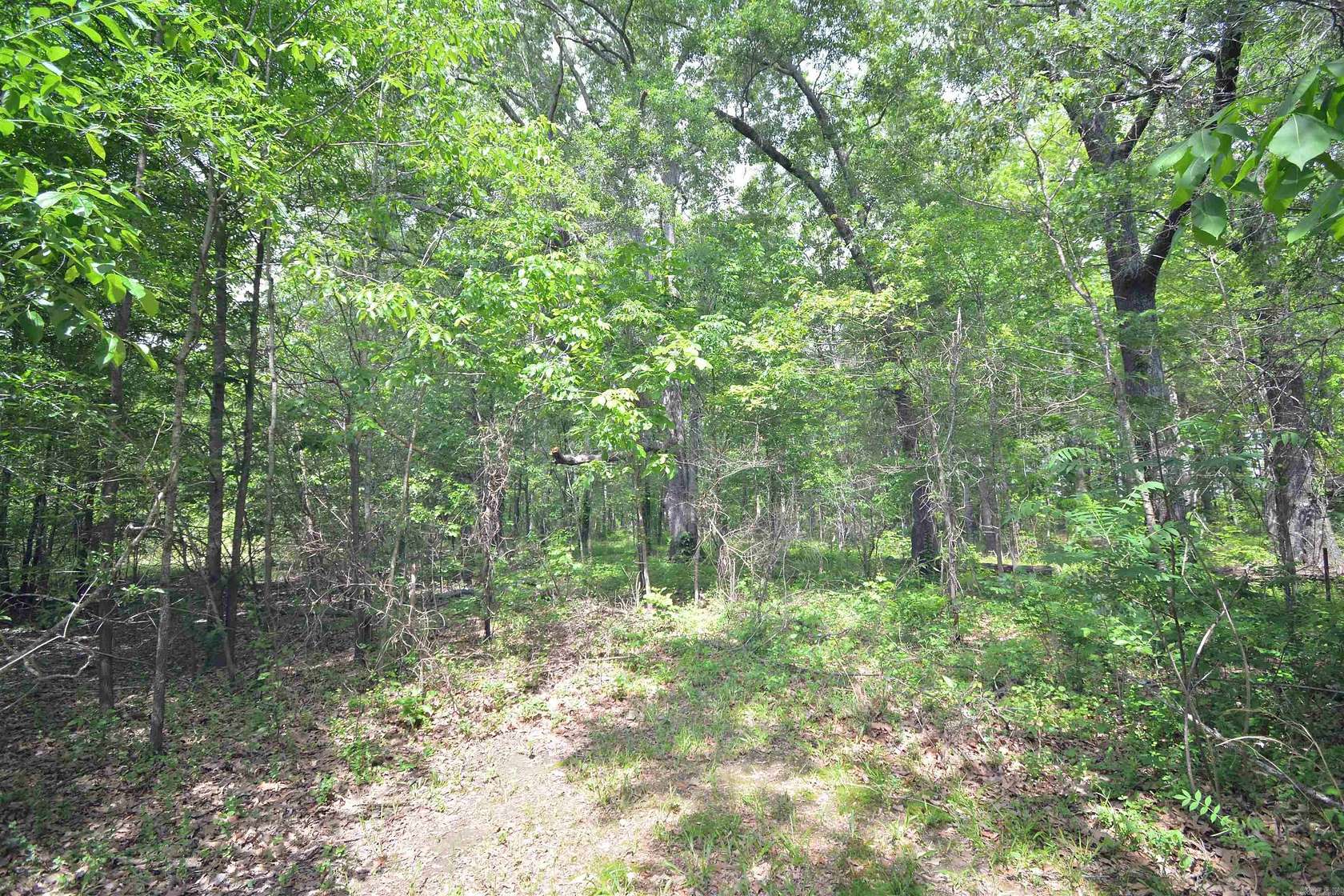 3 Acres of Land for Sale in Bald Knob, Arkansas
