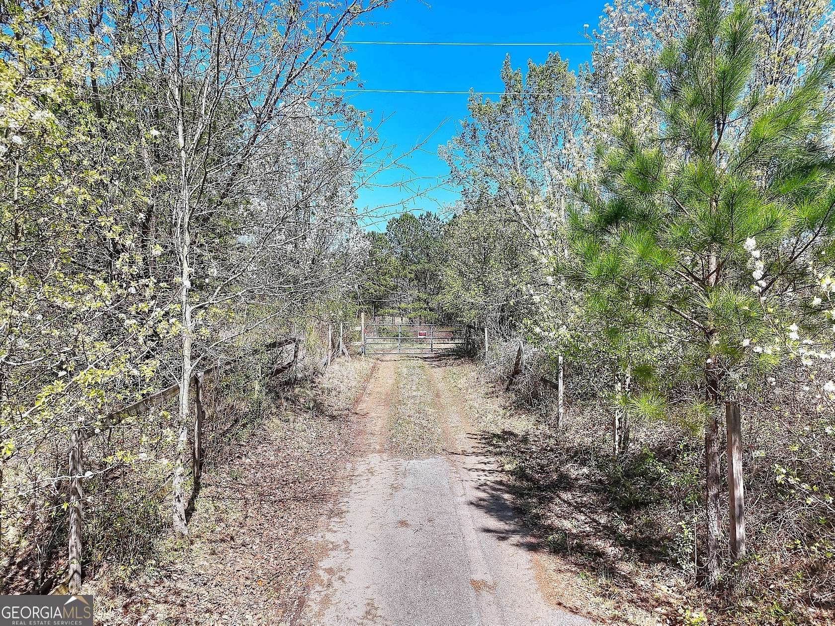23.1 Acres of Recreational Land & Farm for Sale in Bethlehem, Georgia