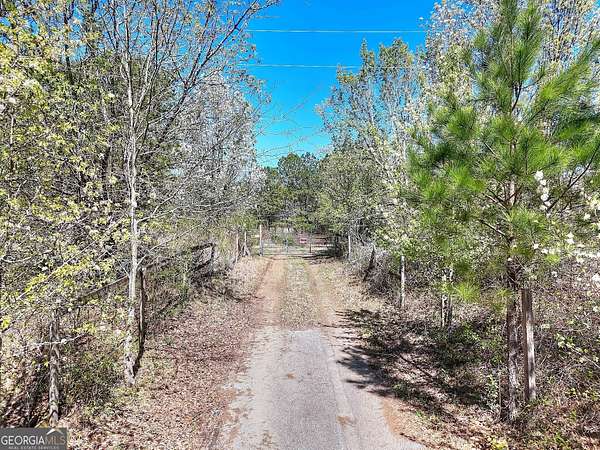 23.1 Acres of Recreational Land & Farm for Sale in Bethlehem, Georgia