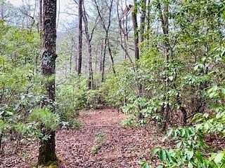 6 Acres of Land for Sale in Blairsville, Georgia