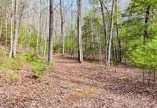 6.88 Acres of Land for Sale in Blairsville, Georgia