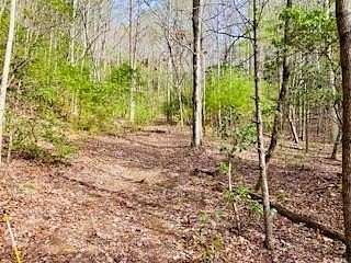 6.88 Acres of Land for Sale in Blairsville, Georgia