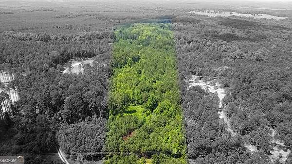 17.9 Acres of Land for Sale in Forsyth, Georgia