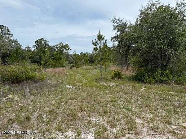 14 Acres of Land for Sale in Interlachen, Florida