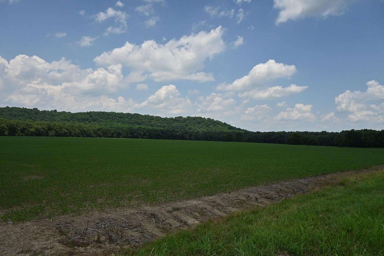 35.6 Acres of Land for Sale in Aurora, Indiana