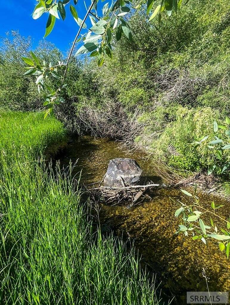 3.17 Acres of Land for Sale in Swan Valley, Idaho