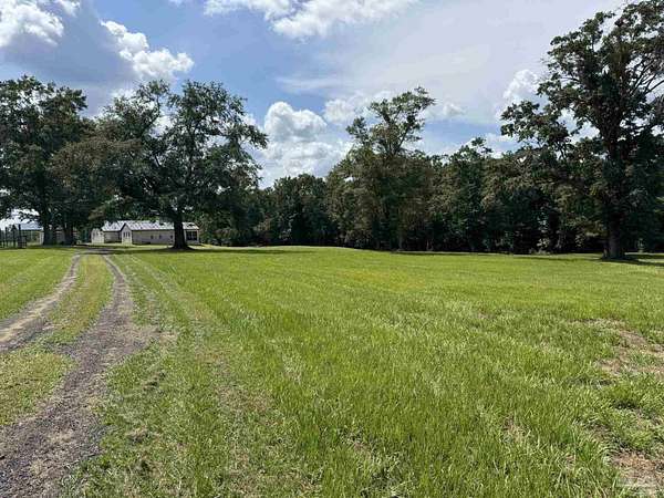 20 Acres of Land with Home for Sale in Milton, Florida