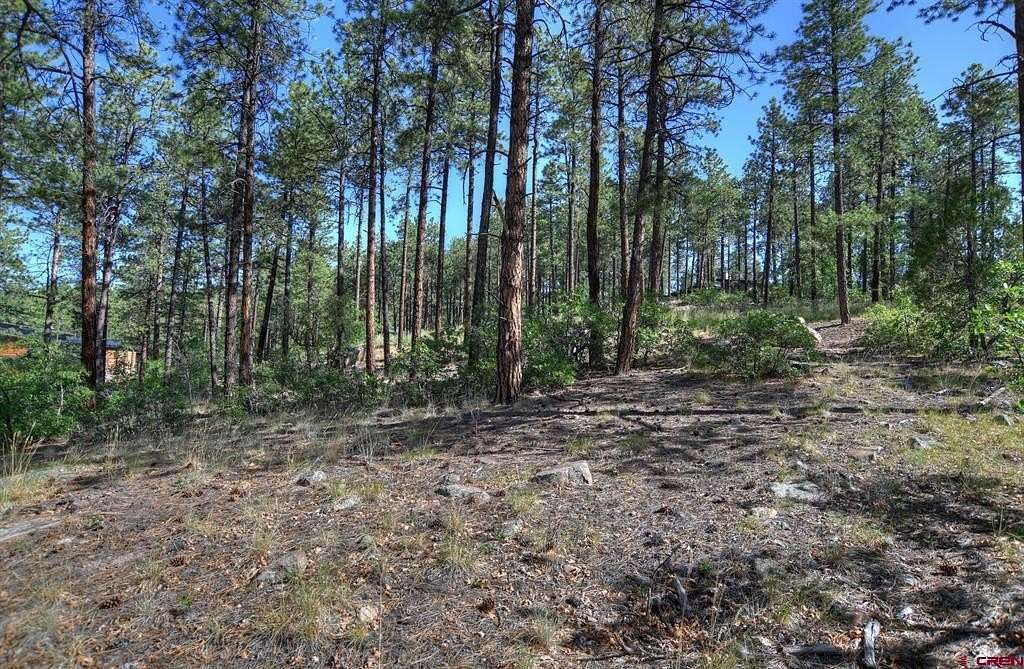 1 Acre of Residential Land for Sale in Durango, Colorado