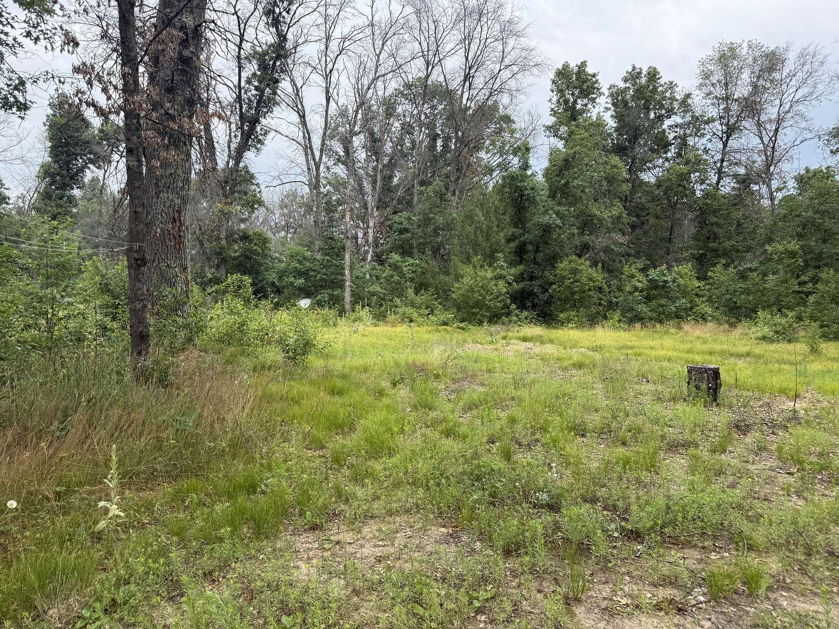 0.27 Acres of Land for Sale in Idlewild, Michigan