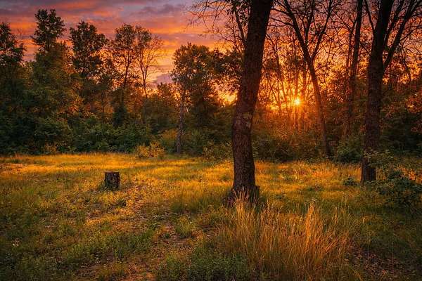 0.27 Acres of Land for Sale in Idlewild, Michigan