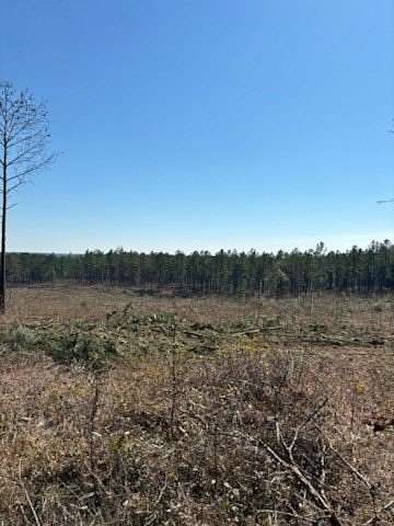 35 Acres of Recreational Land for Sale in Clopton, Alabama