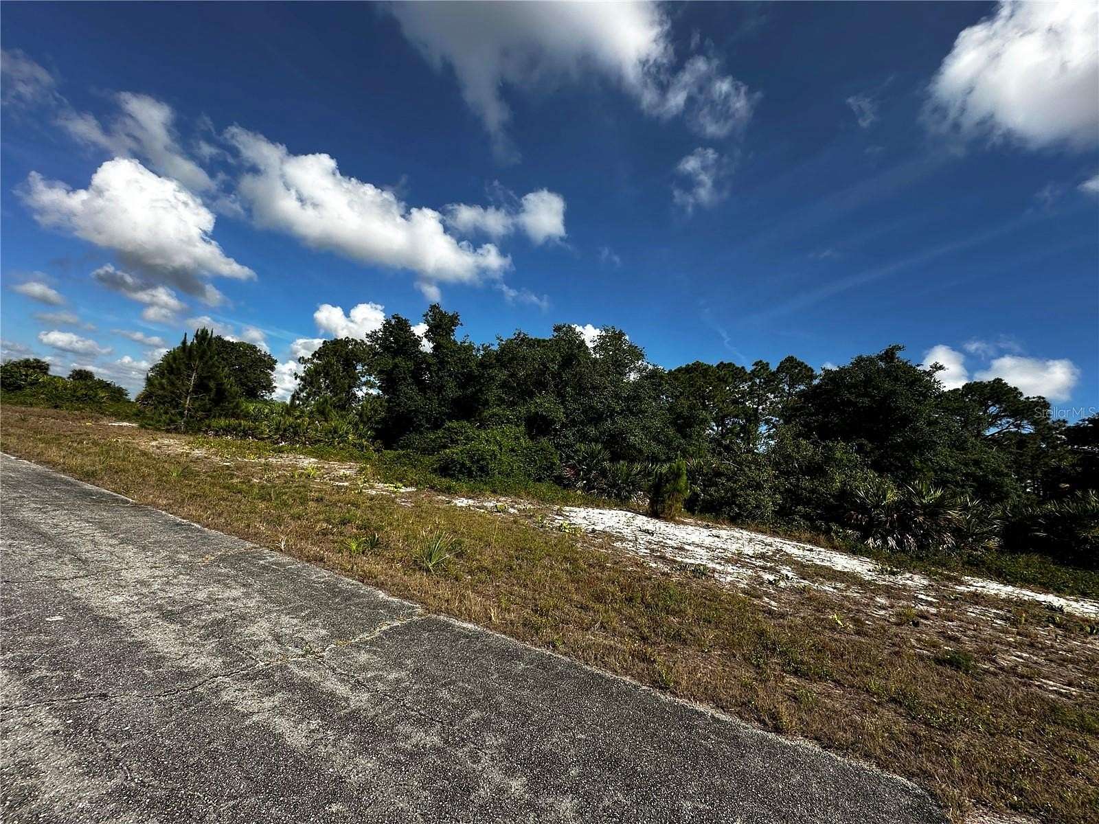 0.26 Acres of Residential Land for Sale in LaBelle, Florida