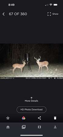 35 Acres of Recreational Land for Sale in Clopton, Alabama