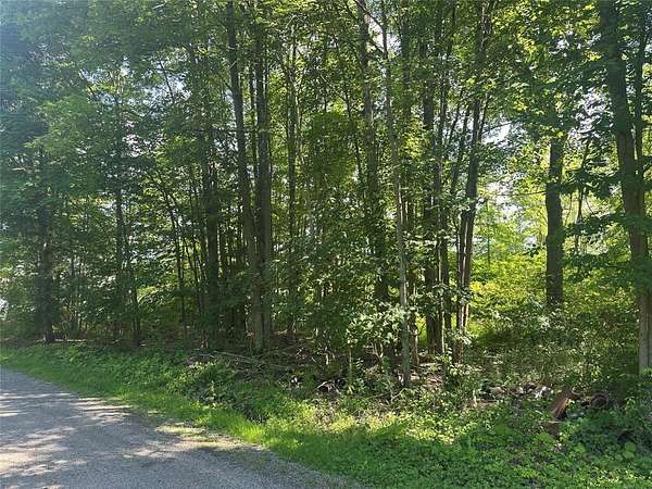Land for Sale in Conneaut Lake, Pennsylvania