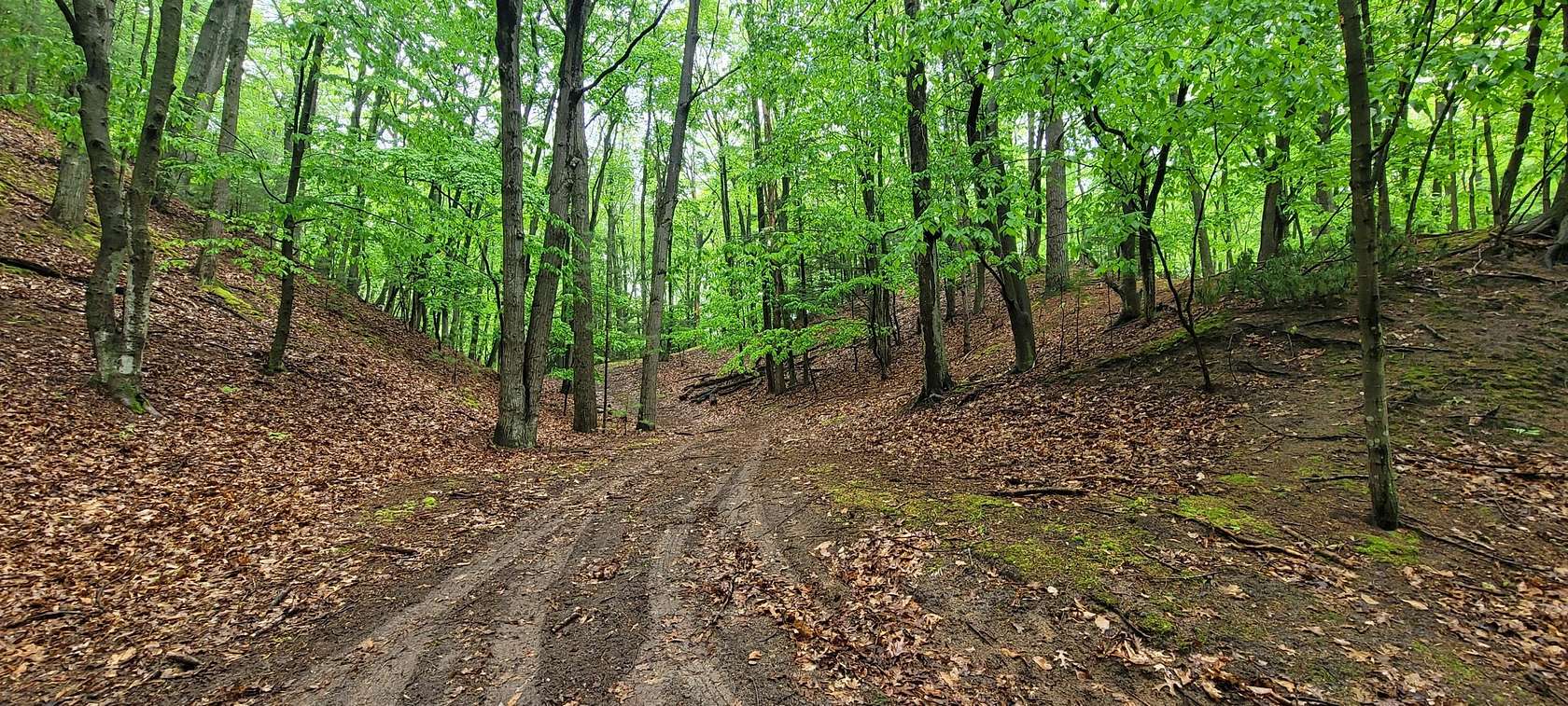 10.3 Acres of Land for Sale in Pentwater, Michigan