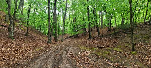 10.3 Acres of Land for Sale in Pentwater, Michigan