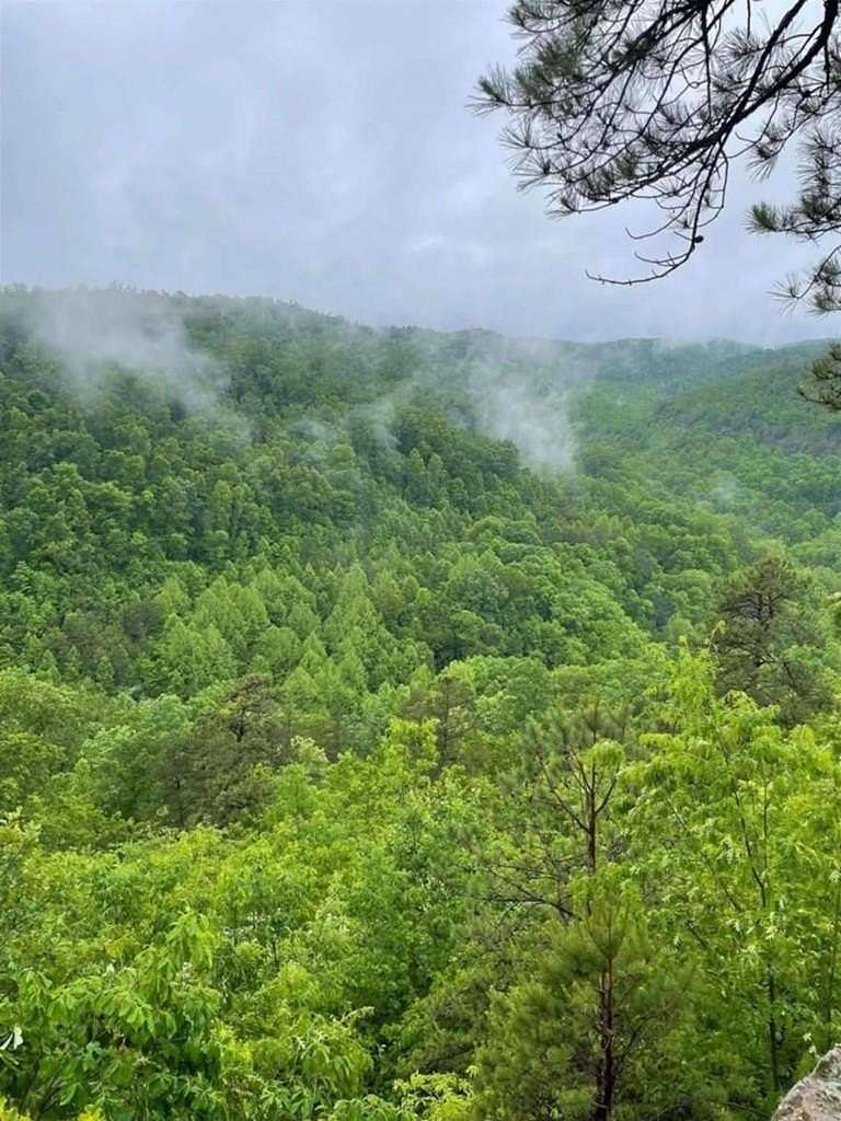 154 Acres of Recreational Land for Sale in Louisa, Kentucky
