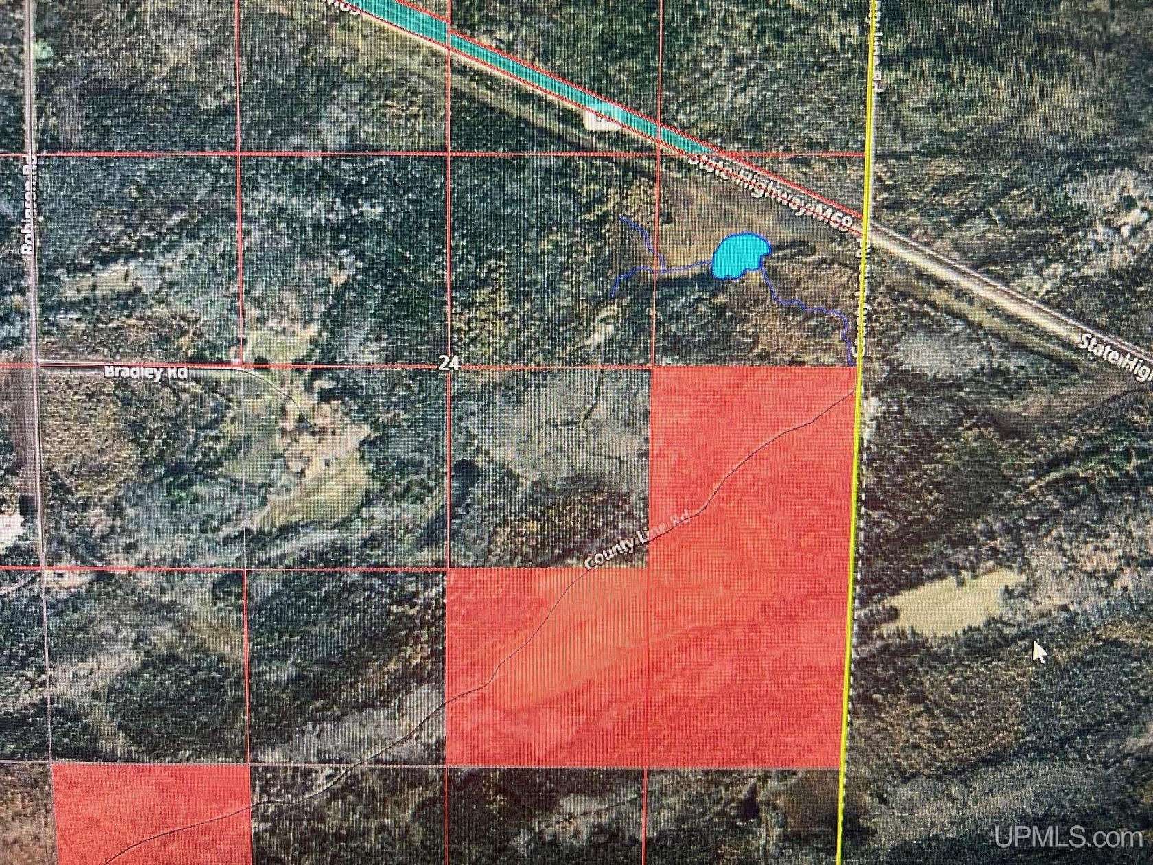 40 Acres of Recreational Land for Sale in Hardwood, Michigan