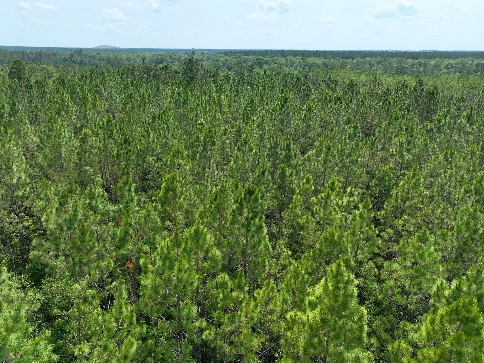 27 Acres of Recreational Land for Sale in Jesup, Georgia